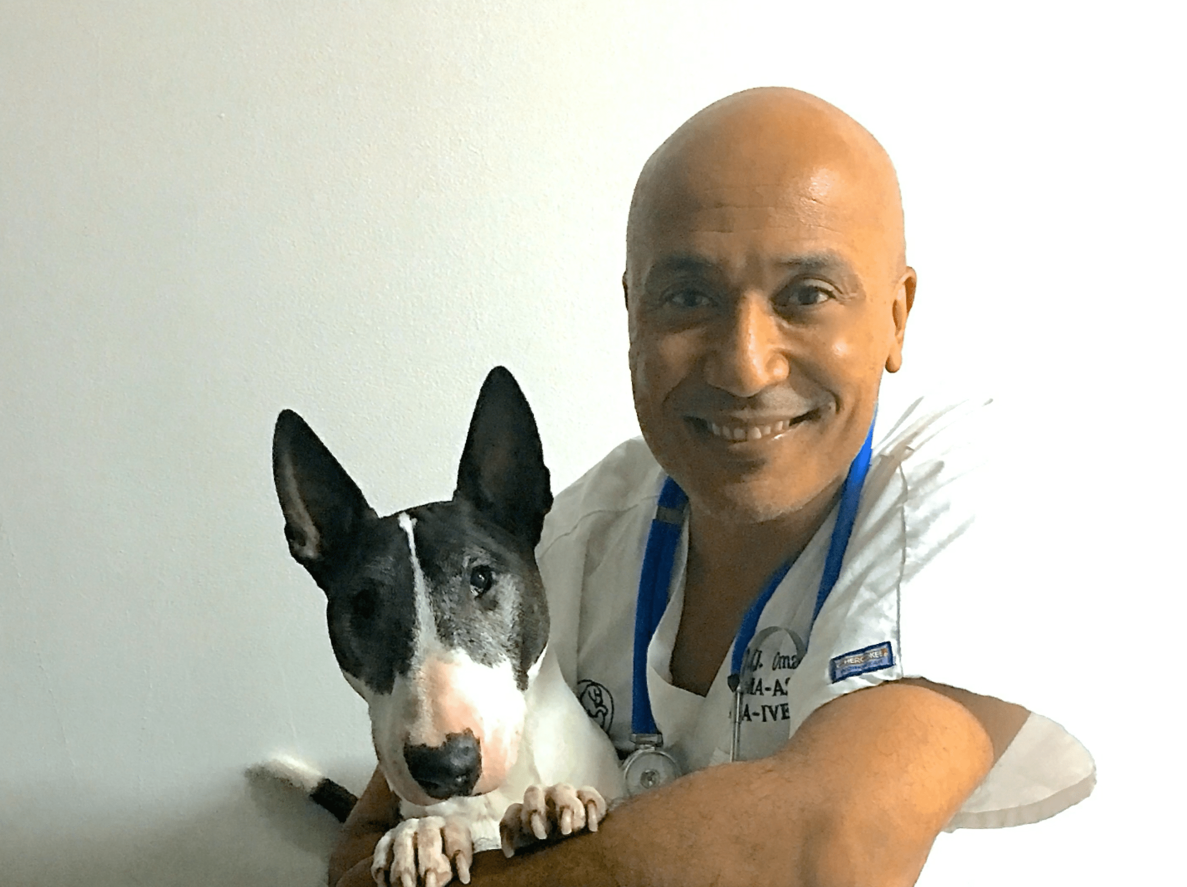 Vétérinaire Nyon, Veterinaire Nyon, Nyon Veterinaire, Nyon Vétérinaire, cabinet vétérinaire Nyon, cabinet veterinaire Nyon, clinique vétérinaire Nyon, vétérinaire de Garde Nyon,veterinaire de Garde Nyon, Cabinet Vétérinaire International