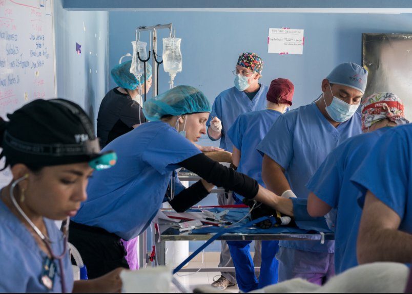 Vétérinaire Nyon, Veterinaire Nyon, Nyon Veterinaire, Nyon Vétérinaire, cabinet vétérinaire Nyon, cabinet veterinaire Nyon, clinique vétérinaire Nyon, vétérinaire de Garde Nyon,veterinaire de Garde Nyon, Cabinet Vétérinaire International