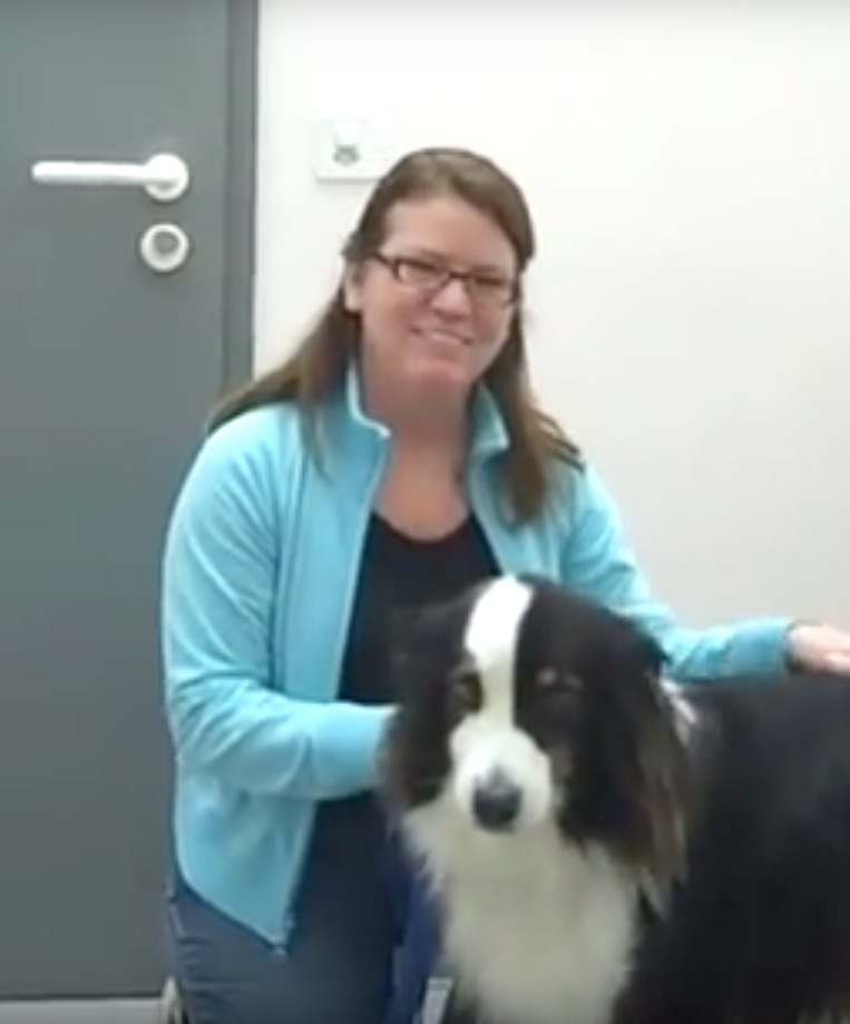  vétérinaire Mies, vétérinaire Genève, vétérinaire Nyon, vétérinaire Versoix, vétérinaire Commugny