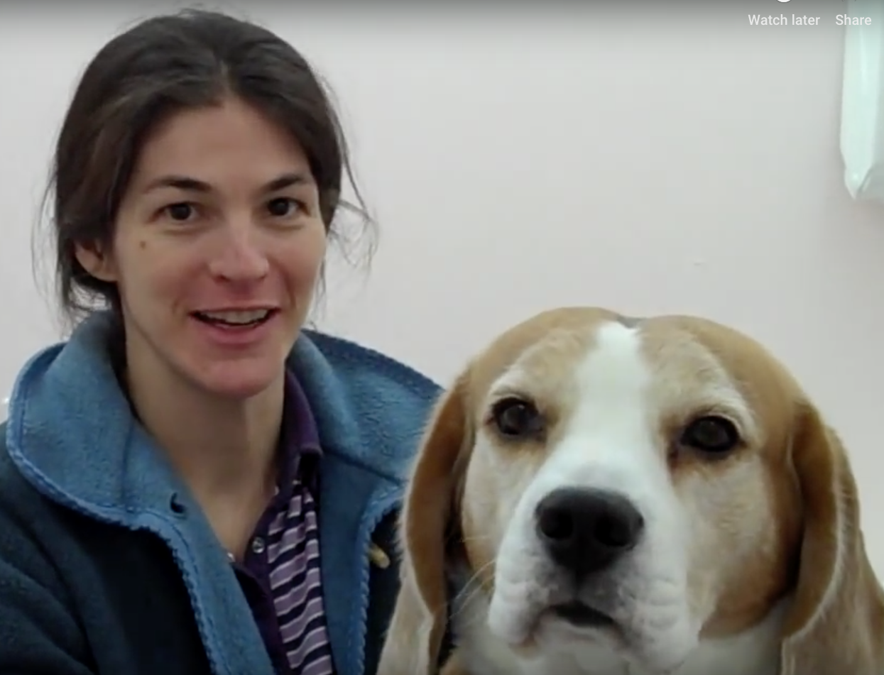 Vétérinaire Nyon, Veterinaire Nyon, Nyon Veterinaire, Nyon Vétérinaire, cabinet vétérinaire Nyon, cabinet veterinaire Nyon, clinique vétérinaire Nyon, vétérinaire de Garde Nyon,veterinaire de Garde Nyon, Cabinet Vétérinaire International