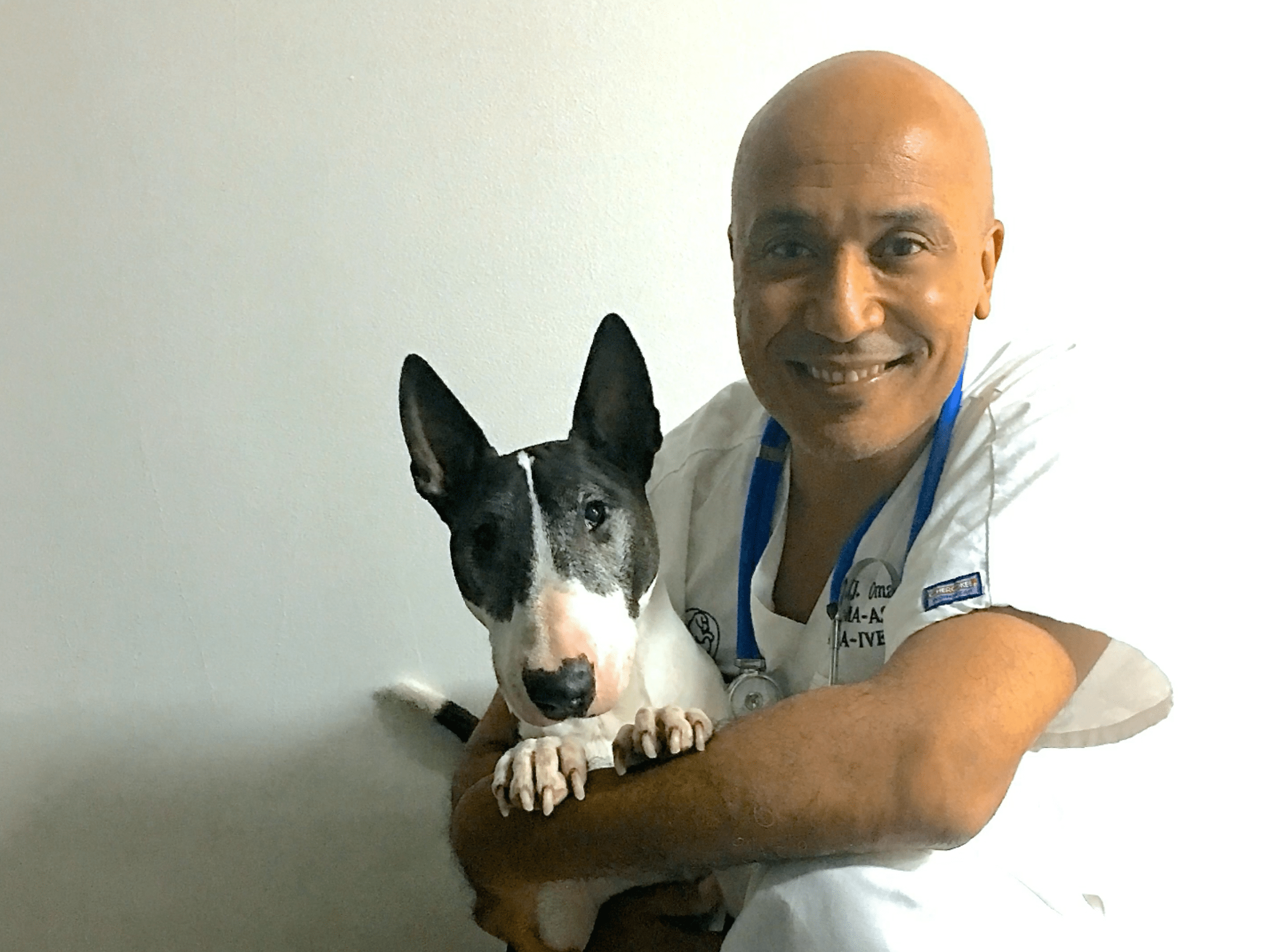 Vétérinaire Nyon, Veterinaire Nyon, Nyon Veterinaire, Nyon Vétérinaire, cabinet vétérinaire Nyon, cabinet veterinaire Nyon, clinique vétérinaire Nyon, vétérinaire de Garde Nyon,veterinaire de Garde Nyon, Cabinet Vétérinaire International